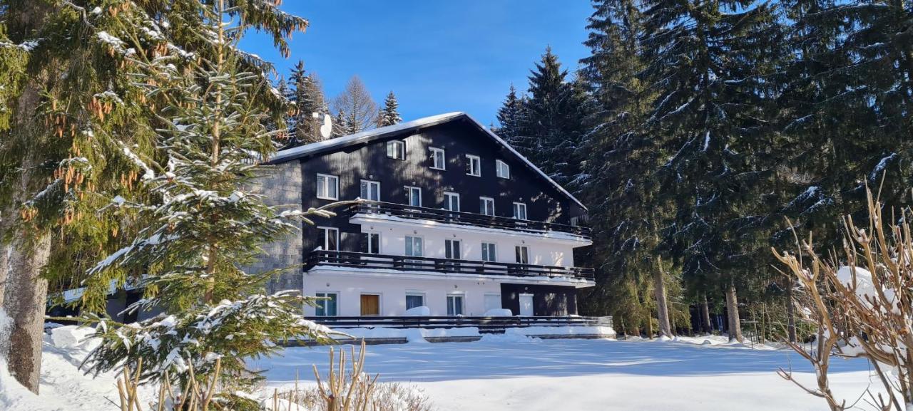 Apartman Mumlava Harrachov Eksteriør bilde